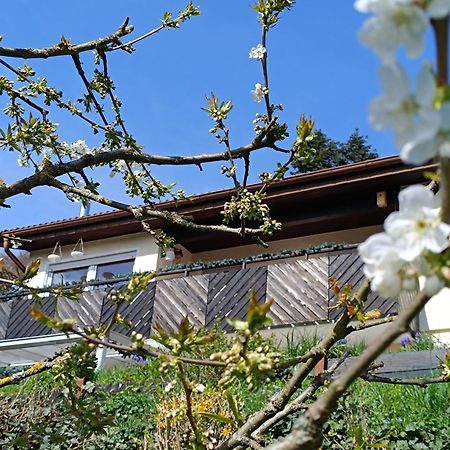 Ferienwohnung Zum Maerchenwald Bergfreiheit Dış mekan fotoğraf