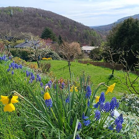 Ferienwohnung Zum Maerchenwald Bergfreiheit Dış mekan fotoğraf