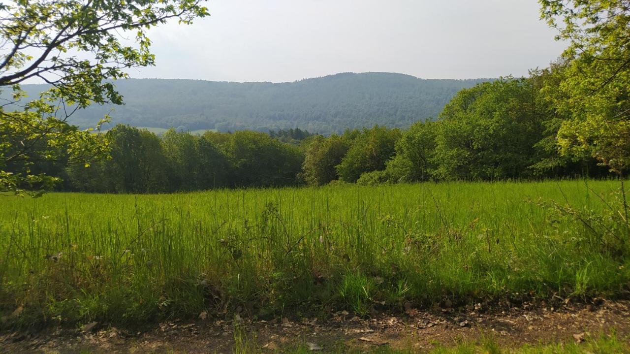 Ferienwohnung Zum Maerchenwald Bergfreiheit Dış mekan fotoğraf