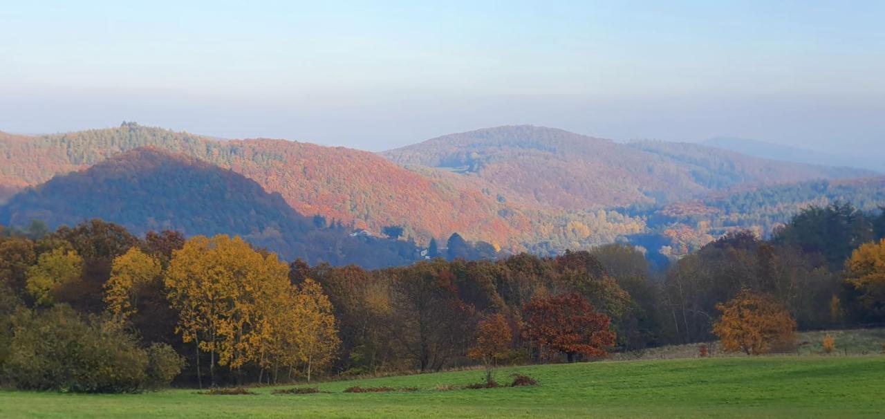 Ferienwohnung Zum Maerchenwald Bergfreiheit Dış mekan fotoğraf