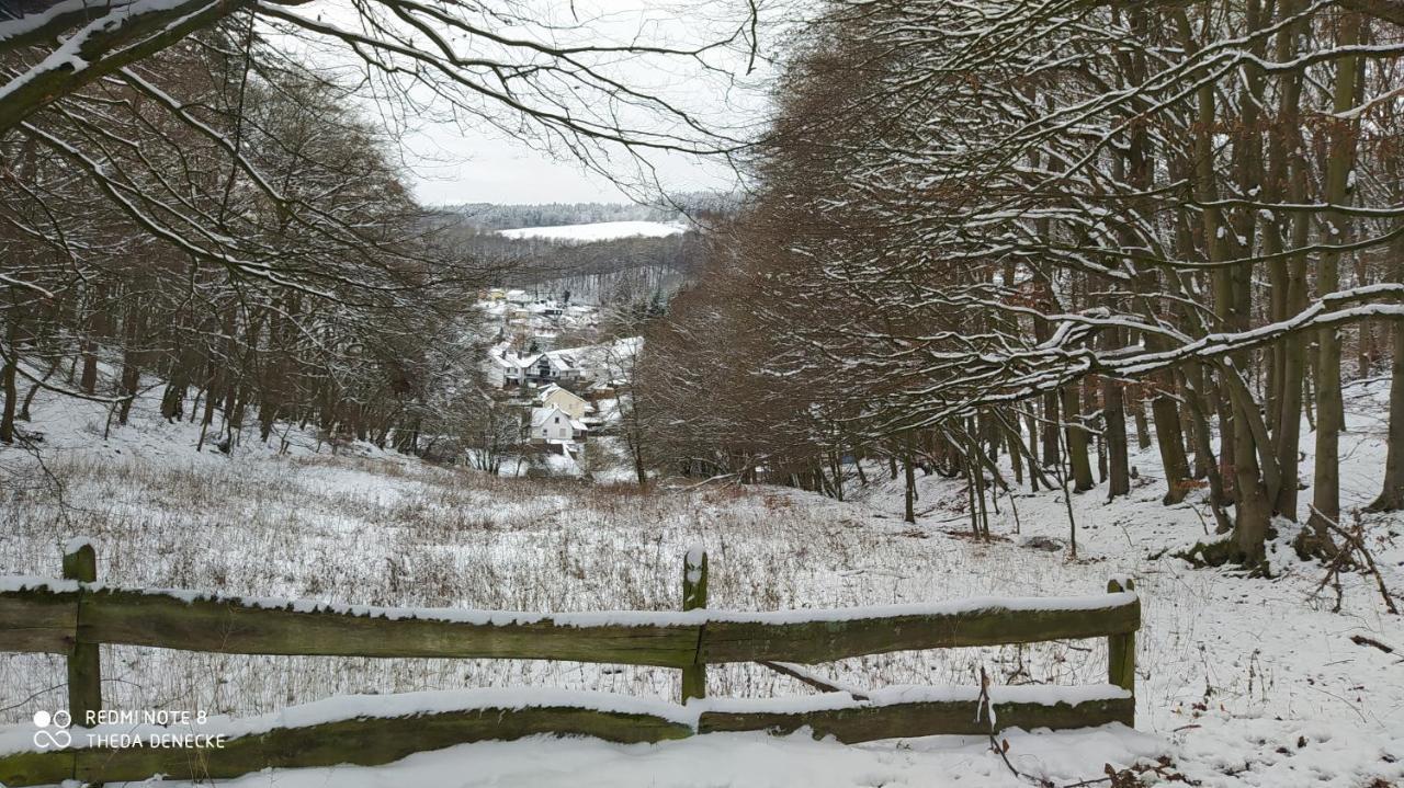 Ferienwohnung Zum Maerchenwald Bergfreiheit Dış mekan fotoğraf