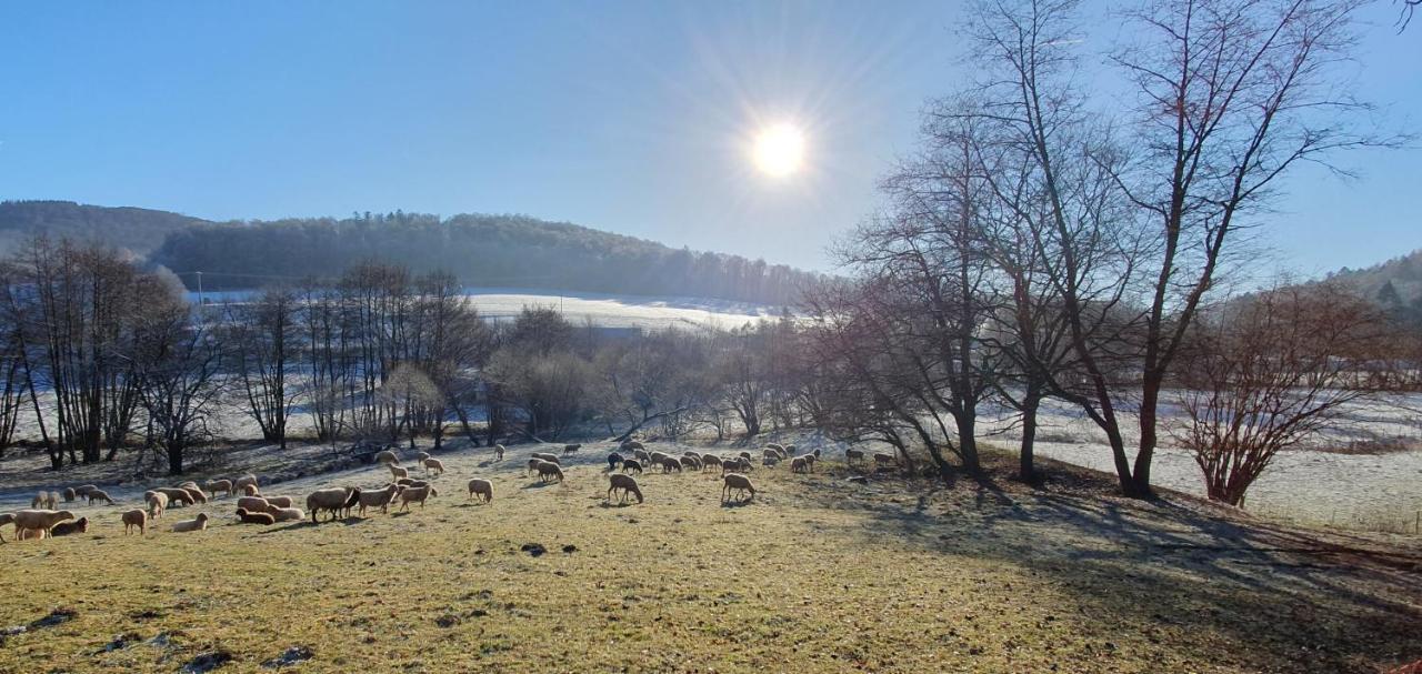 Ferienwohnung Zum Maerchenwald Bergfreiheit Dış mekan fotoğraf