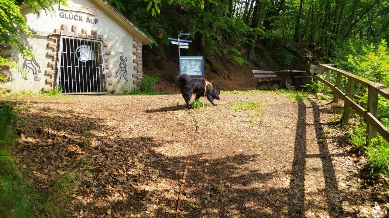 Ferienwohnung Zum Maerchenwald Bergfreiheit Dış mekan fotoğraf