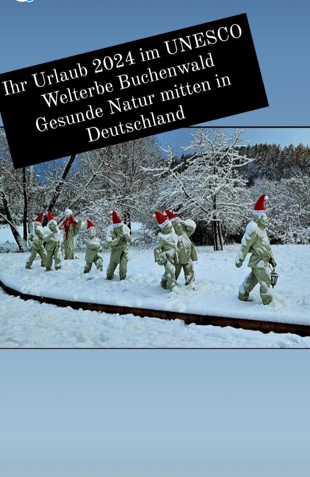 Ferienwohnung Zum Maerchenwald Bergfreiheit Dış mekan fotoğraf