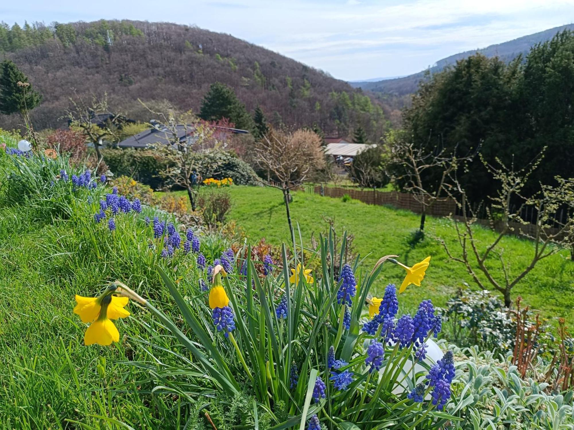 Ferienwohnung Zum Maerchenwald Bergfreiheit Dış mekan fotoğraf