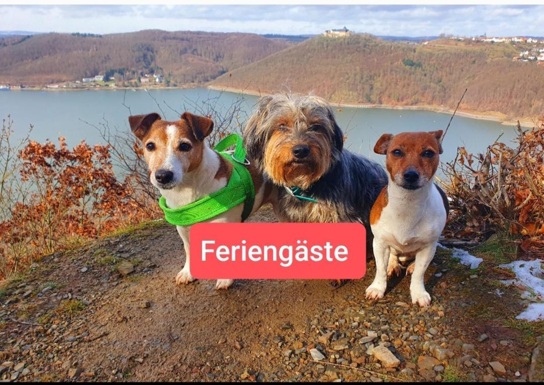 Ferienwohnung Zum Maerchenwald Bergfreiheit Dış mekan fotoğraf