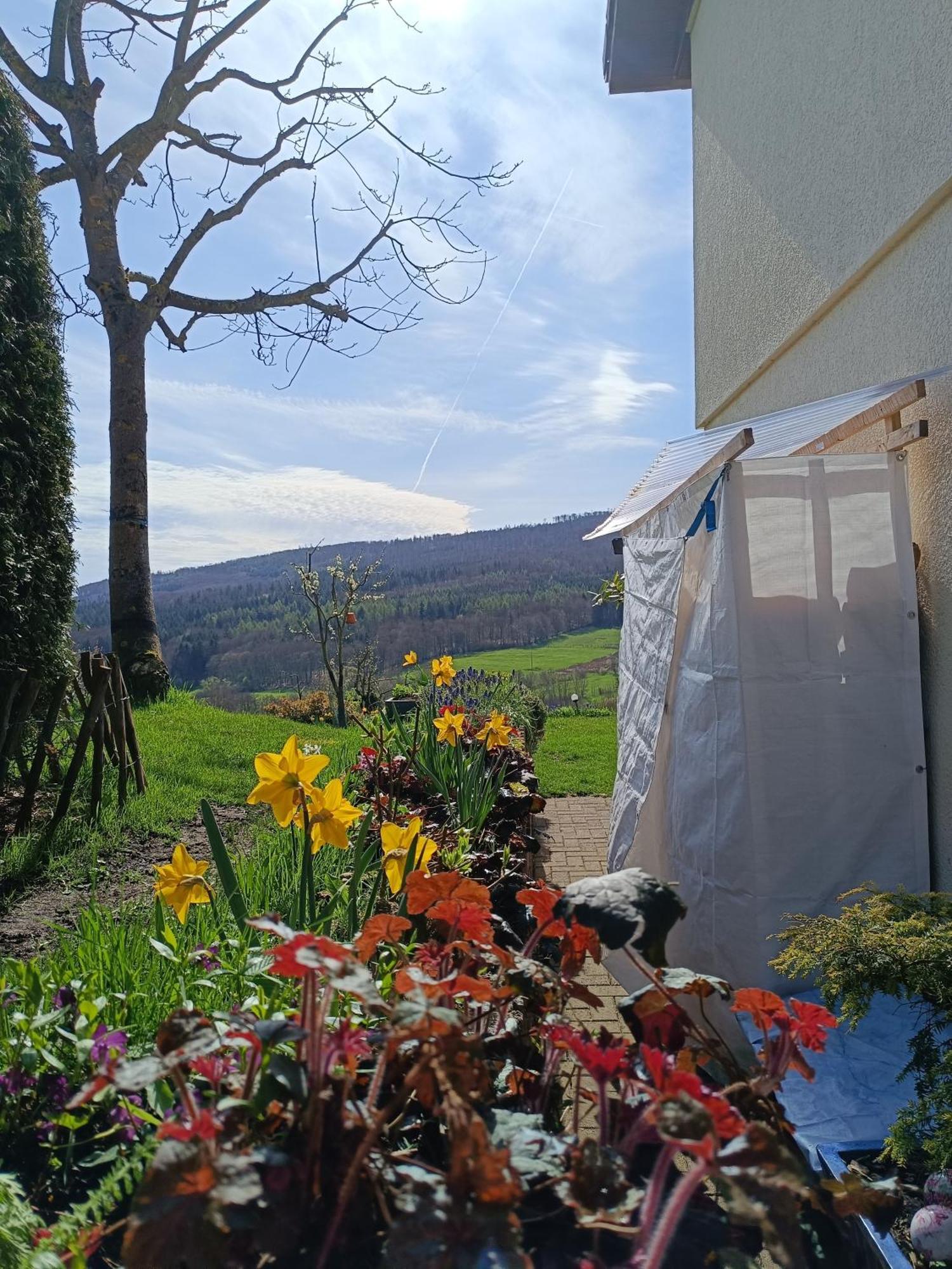Ferienwohnung Zum Maerchenwald Bergfreiheit Dış mekan fotoğraf