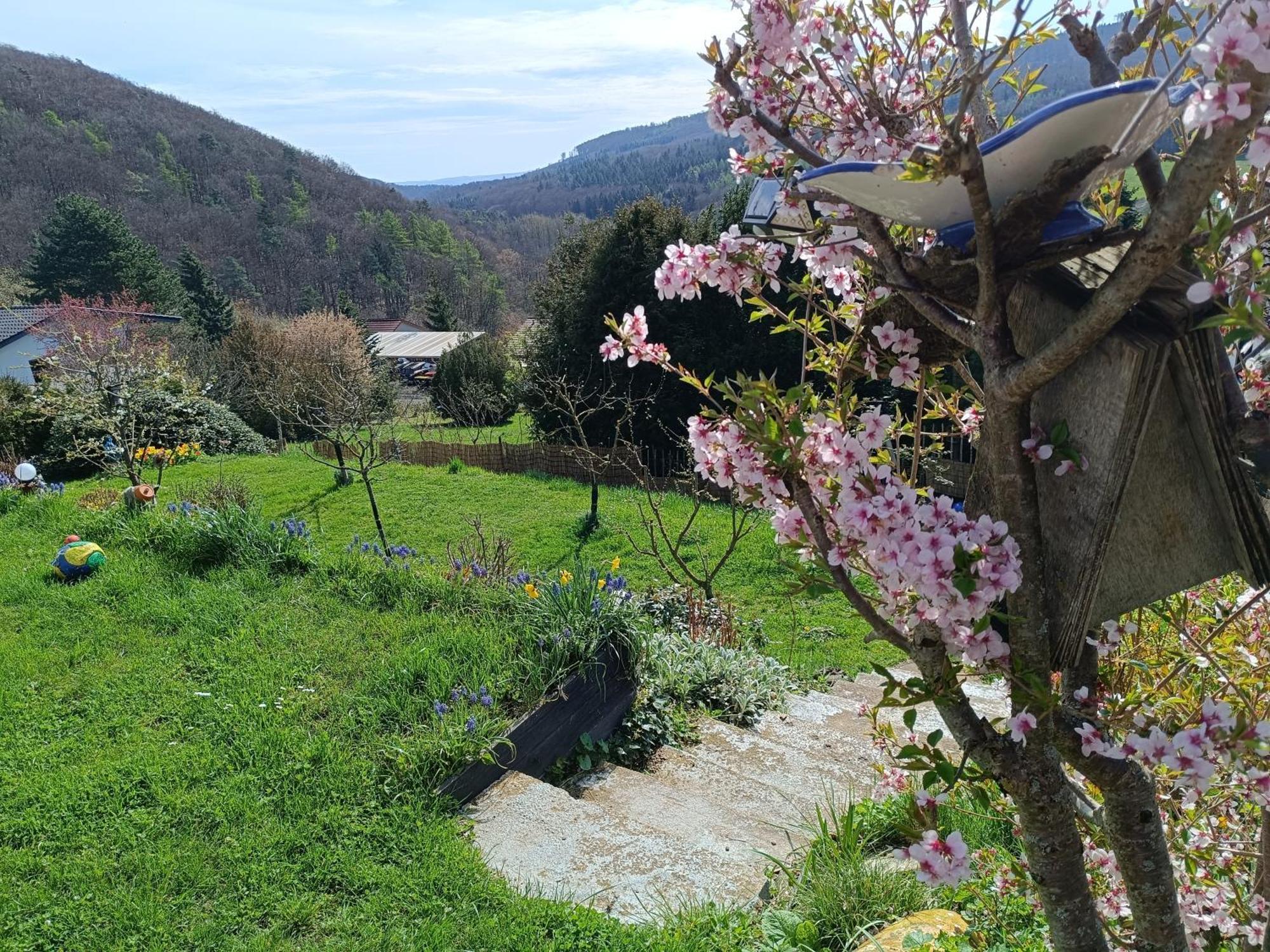 Ferienwohnung Zum Maerchenwald Bergfreiheit Dış mekan fotoğraf